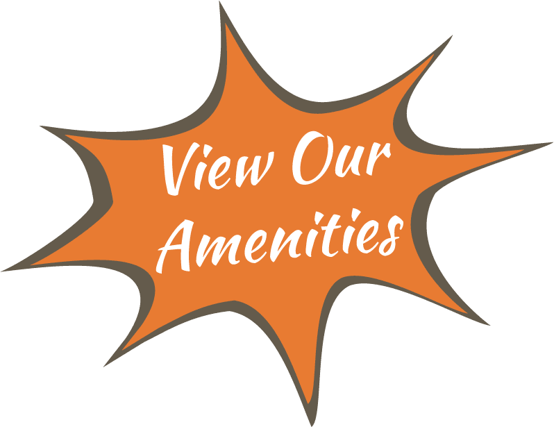 View Our Amenities